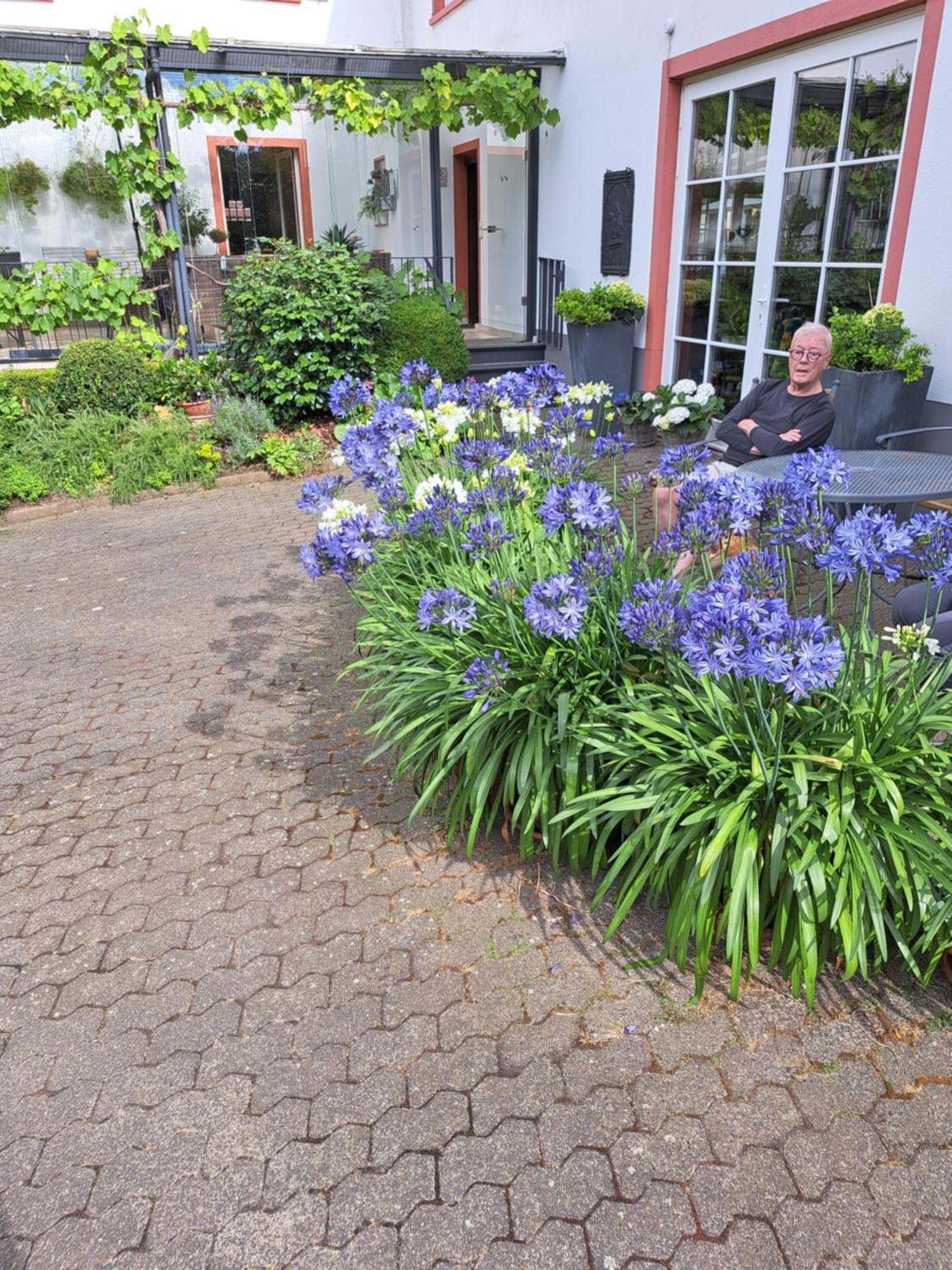 Landhauskiebel Erden Exterior foto
